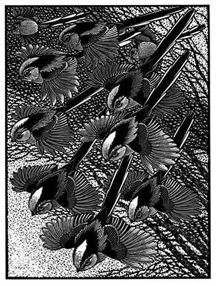 Zephyr of Long-tailed Titmice II