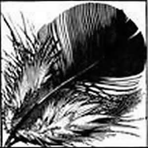 Black Feather