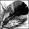 Black Feather