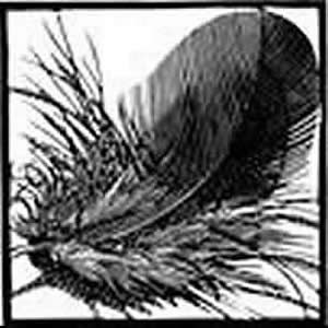 Chough Feather