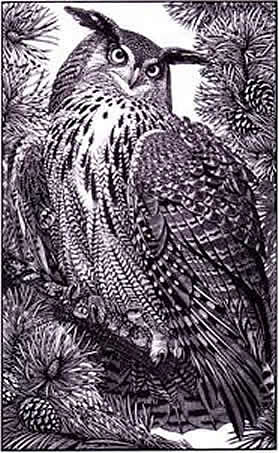 Eagle Owl
