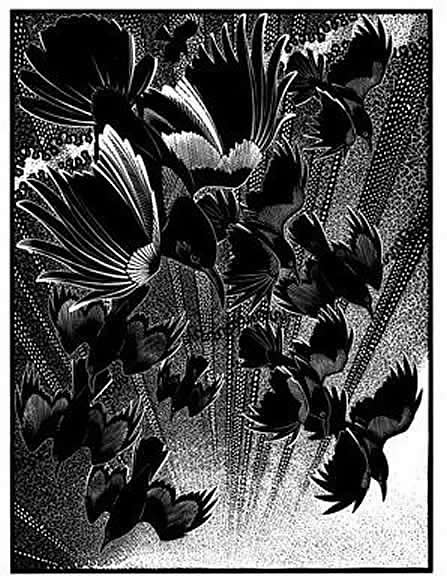 Yattering of Choughs